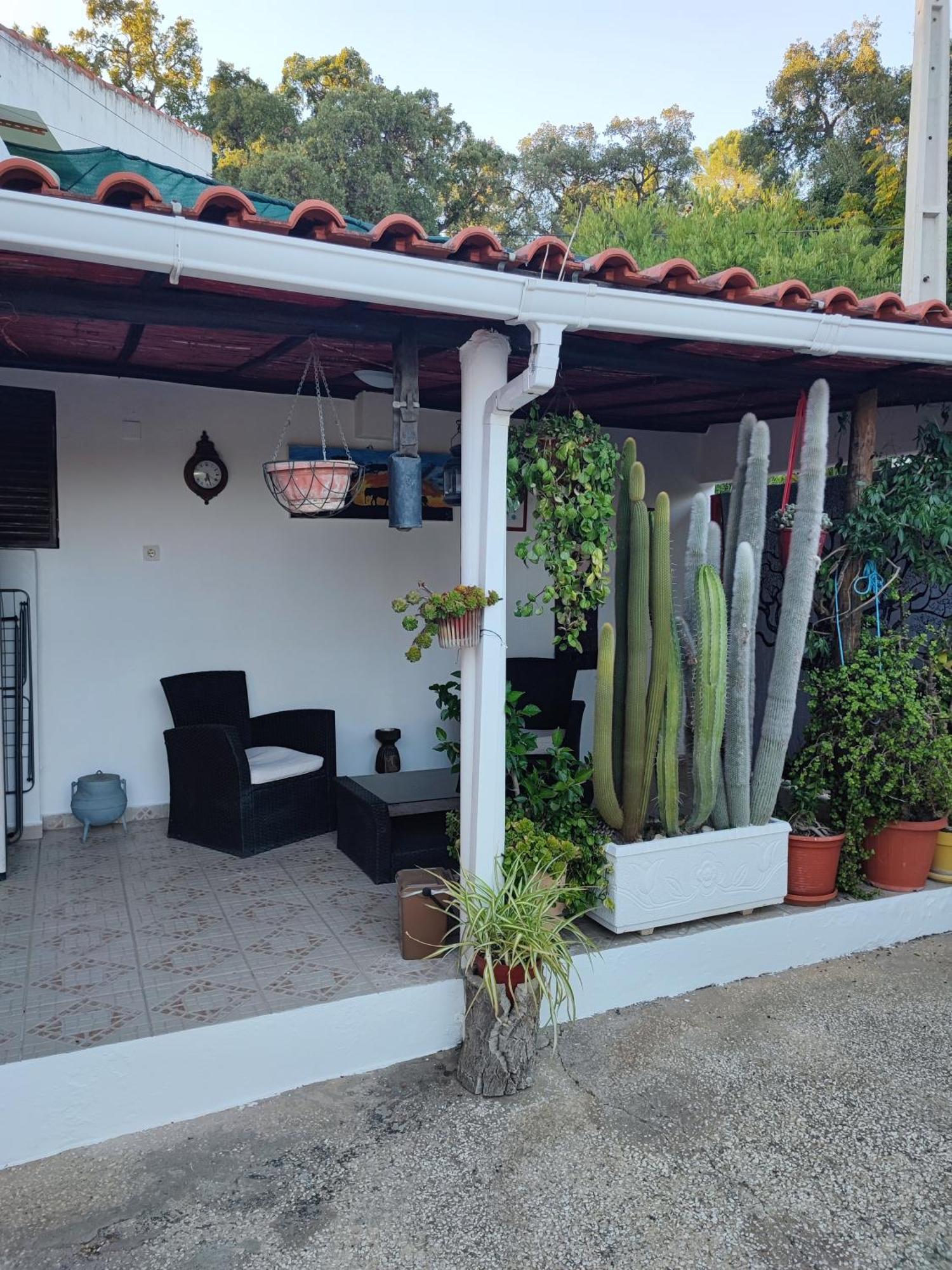 Vila My House - Casa Charme Monchique Exteriér fotografie