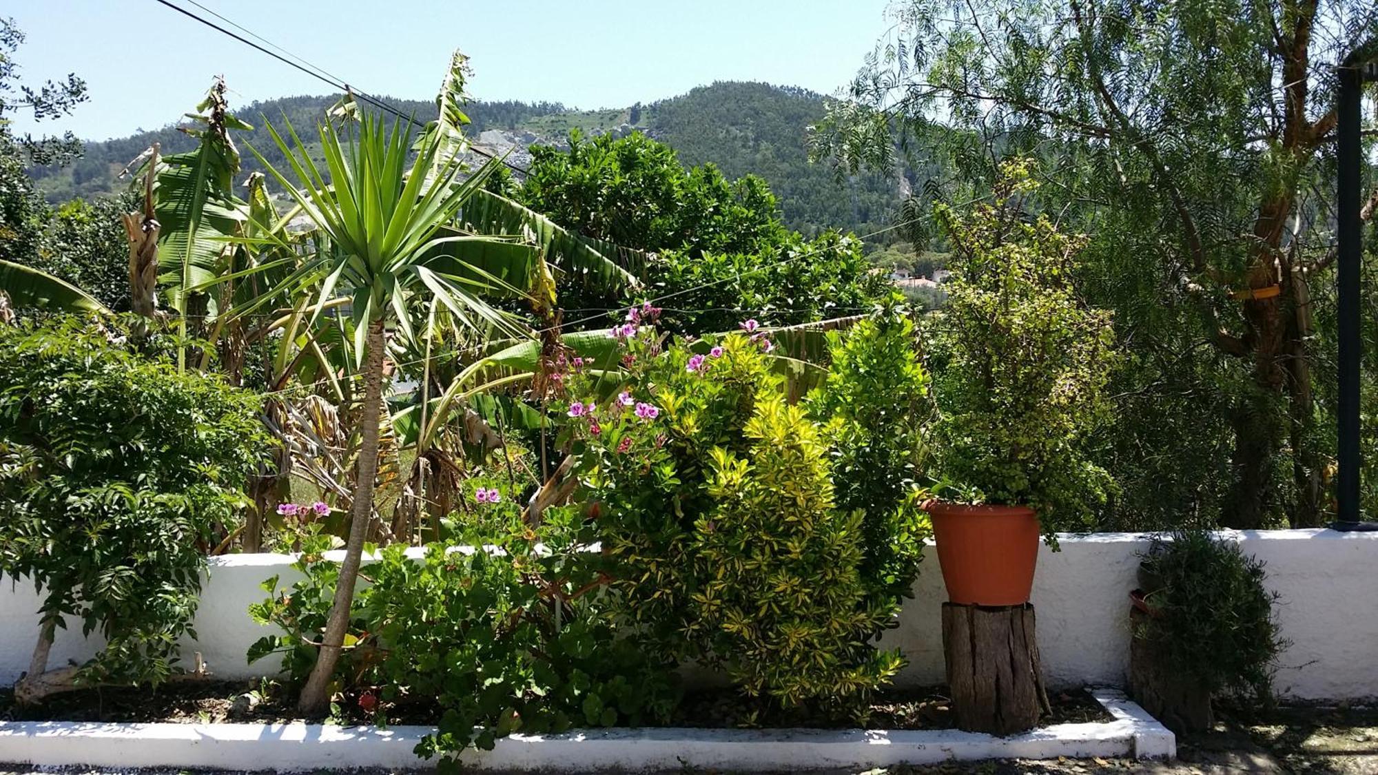 Vila My House - Casa Charme Monchique Exteriér fotografie